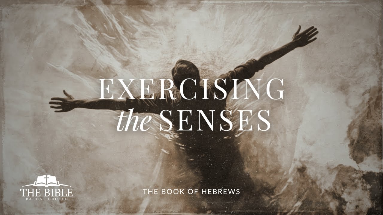Exercising the Senses | Hebrews - Lesson 80