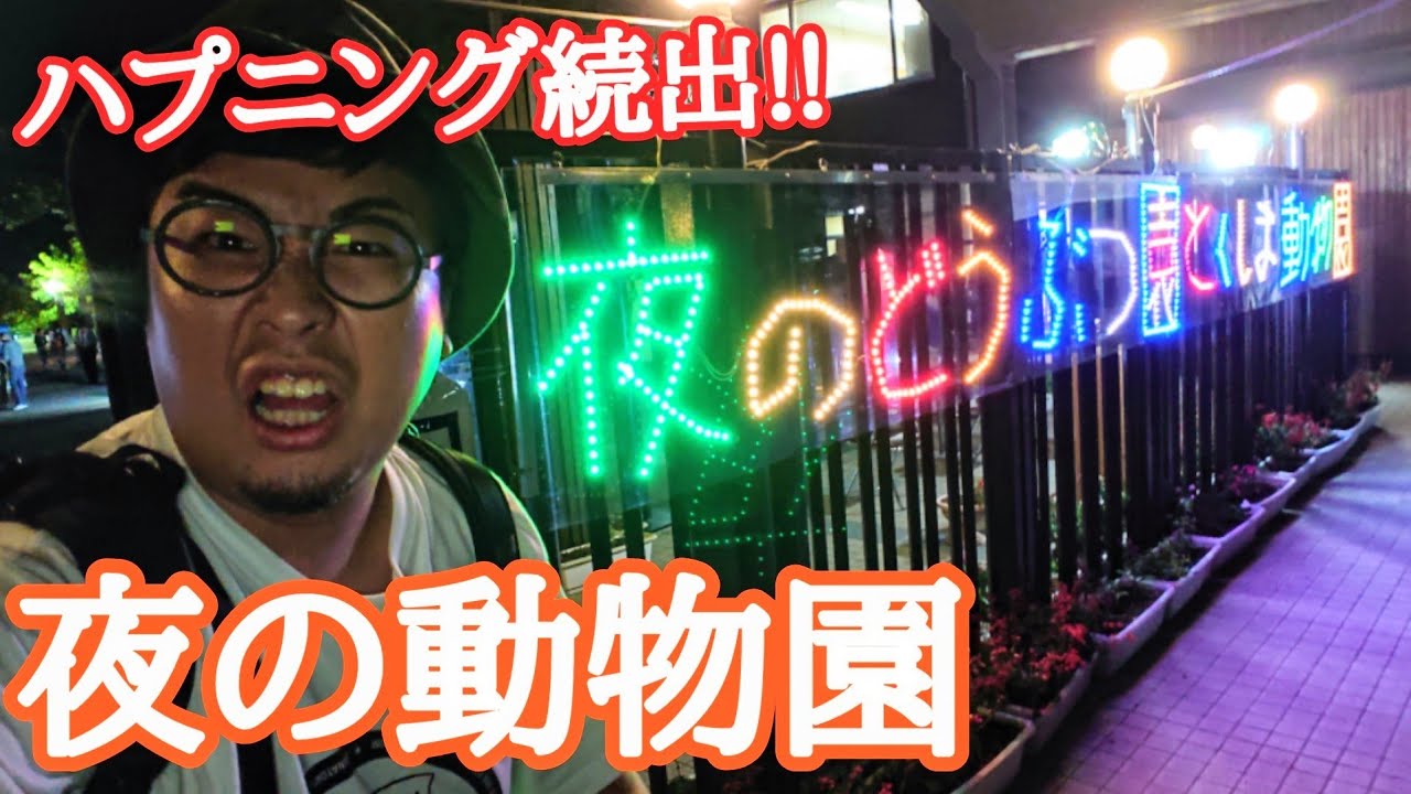 夜の動物園がシュール過ぎて最高な件【とくしま動物園】