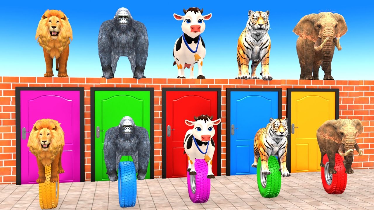 Long Slide Game With Cow Elephant Gorilla Hippopotamus Tiger 3d Animal Game Funny 3d Animals