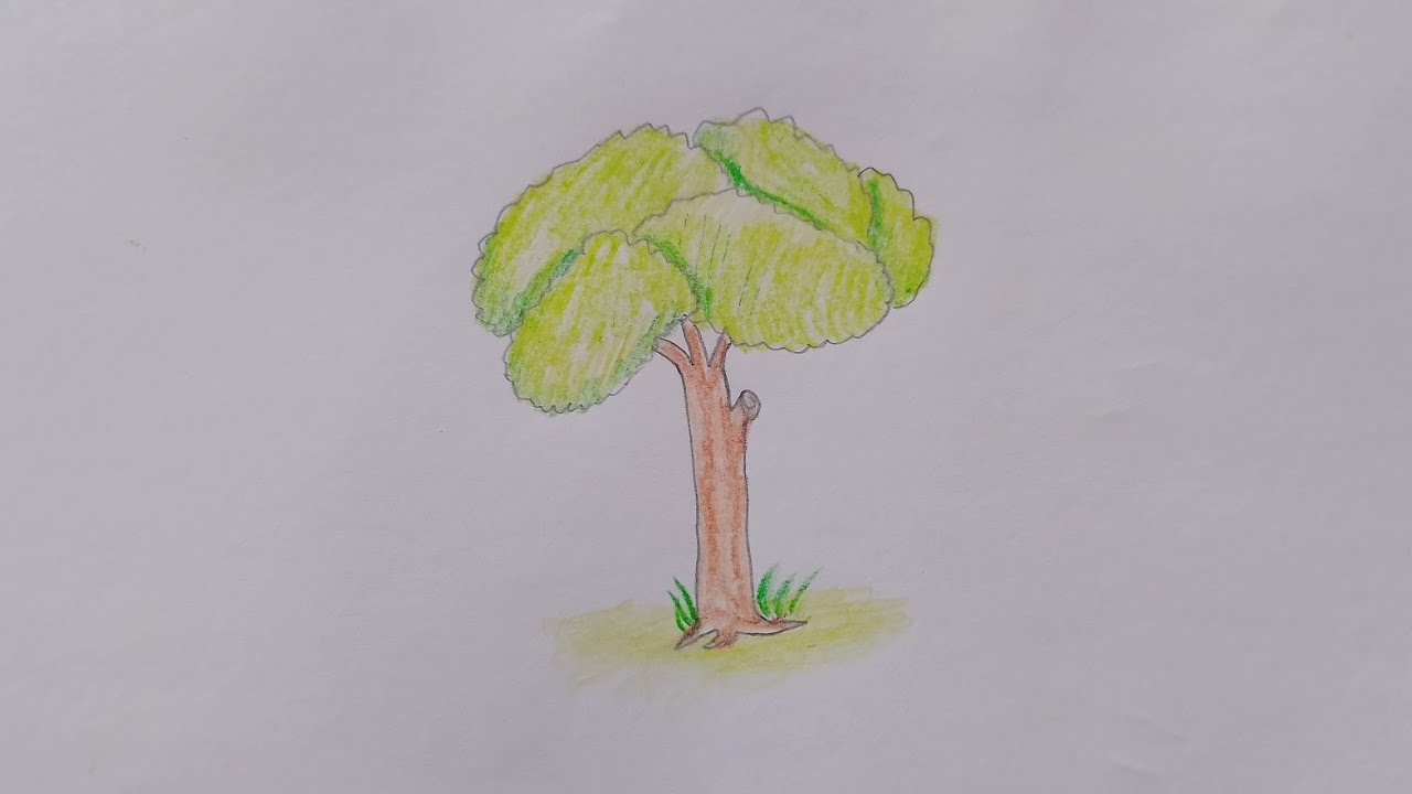 How to draw a Tree step by step drawing art video (very easy)