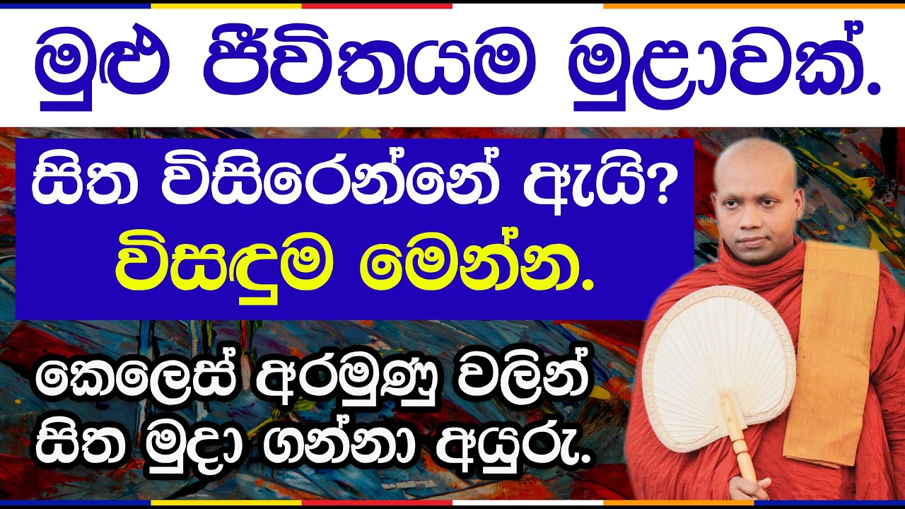 මුළා වූ සිහියෙන් මිදී සිත නිවනට යොමු කරමු | Hasalaka Seelawimala Thero | 3045