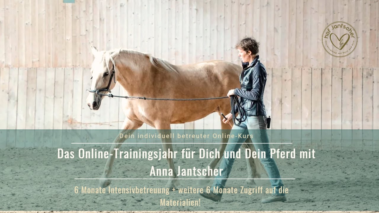 Dein Online-Trainingsjahr mit Anna Jantscher von Herz und Hirn Pferdetraining