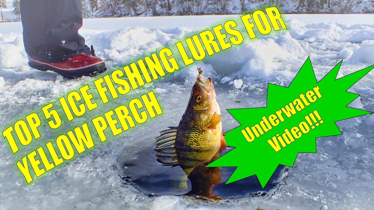 Top 5 Perch Ice Fishing Lures [Underwater Video]