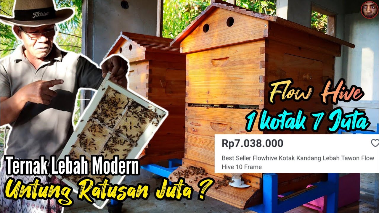 Peternak Lebah Modern Omset Ratusan Juta❗| Kotak Lebah Flow Hive Termahal❗