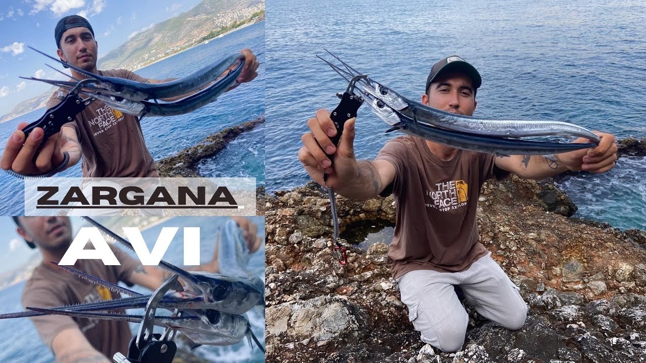 Dev Zargana Avı / Zargana Sürüsü Meraya Girdi Ortalık Karıştı !!