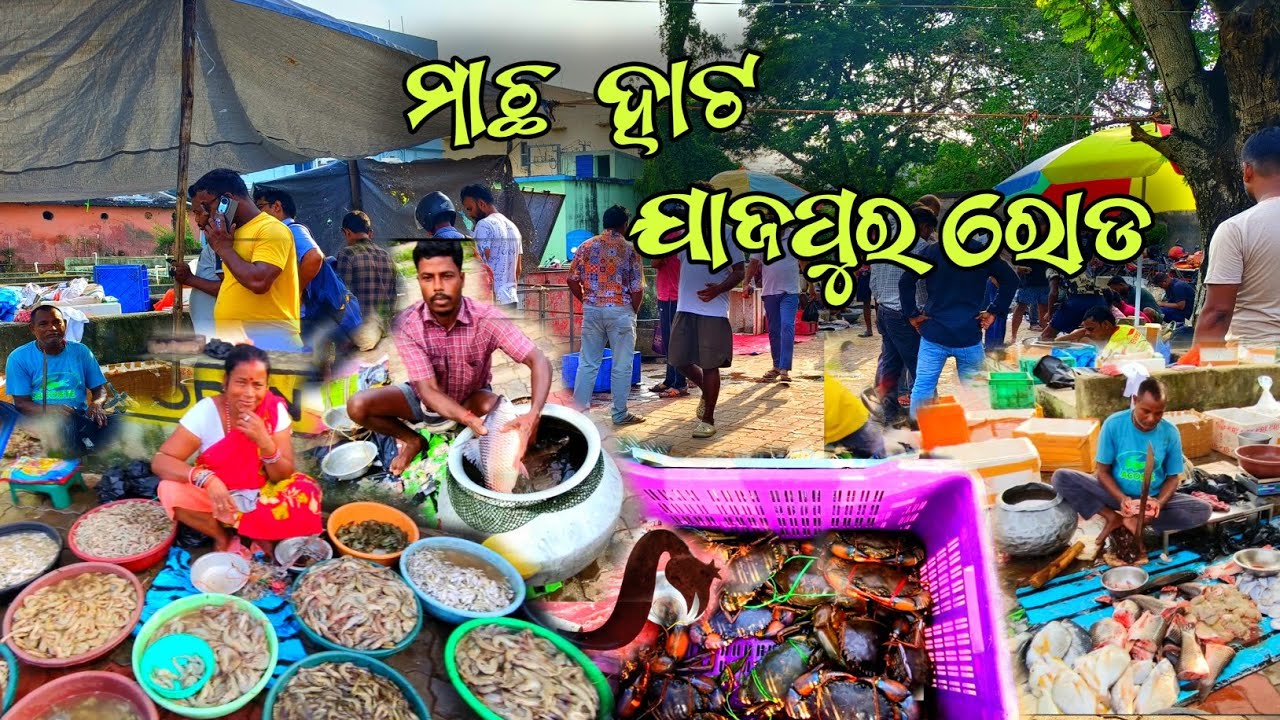 ମାଛ ହାଟ ଯାଜପୁର ରୋଡ଼ ।। Jajpur road fish market ।। Daily odia vlogs ।। Odia travel vlogs ।। 
