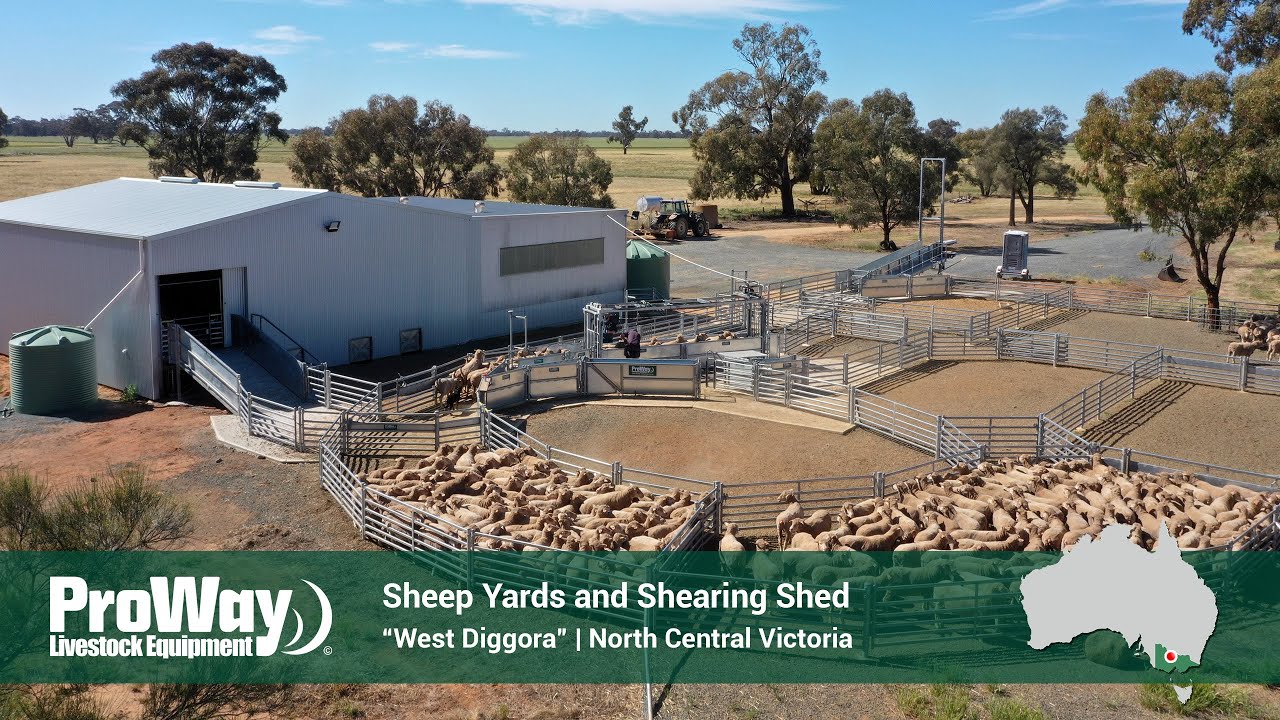 ProWay Sheep Yards and Shearing Shed | 