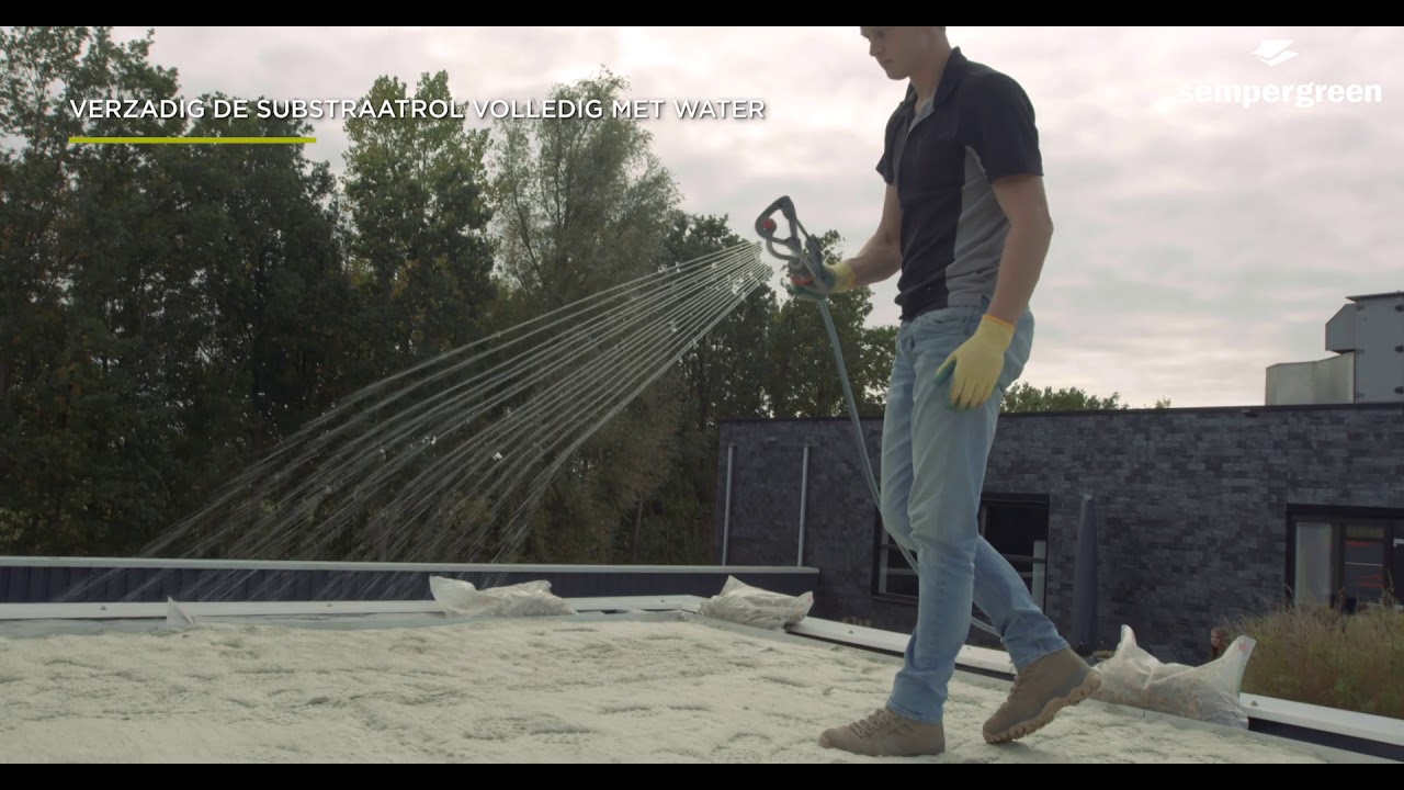 Sempergreen Lichtgewicht Groendak - Installatievideo