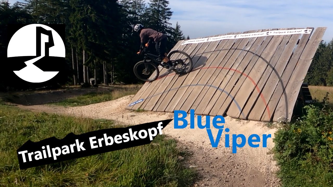 Trailpark Erbeskopf | Blue Viper (Blau)