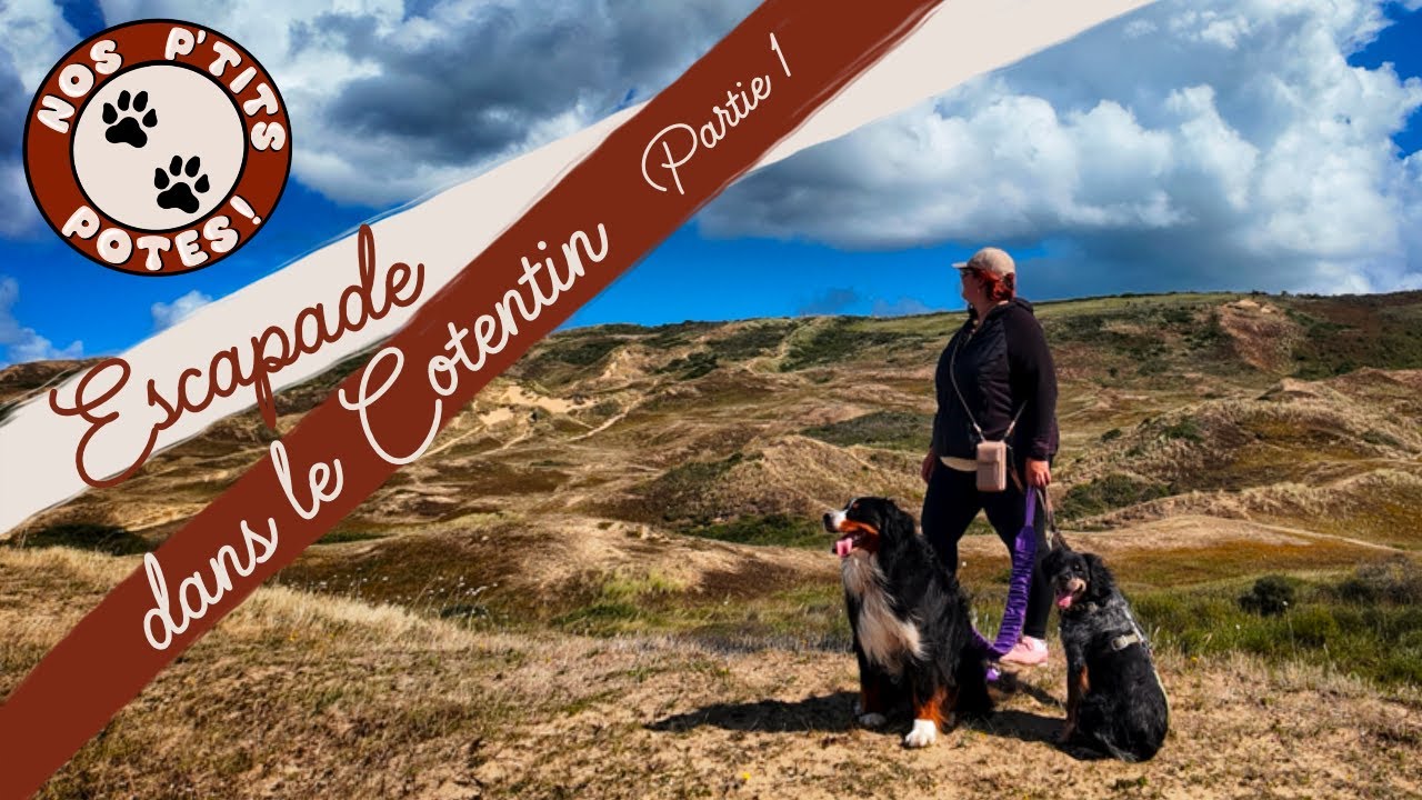 Escapade dans le Cotentin (partie 1)