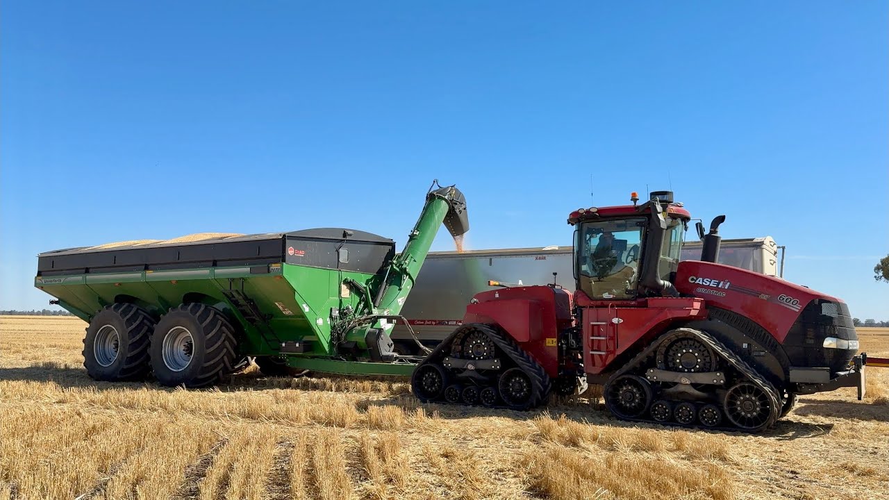 743ha harvested in 2 days with 2 combines 😎 Harvest Ep 17
