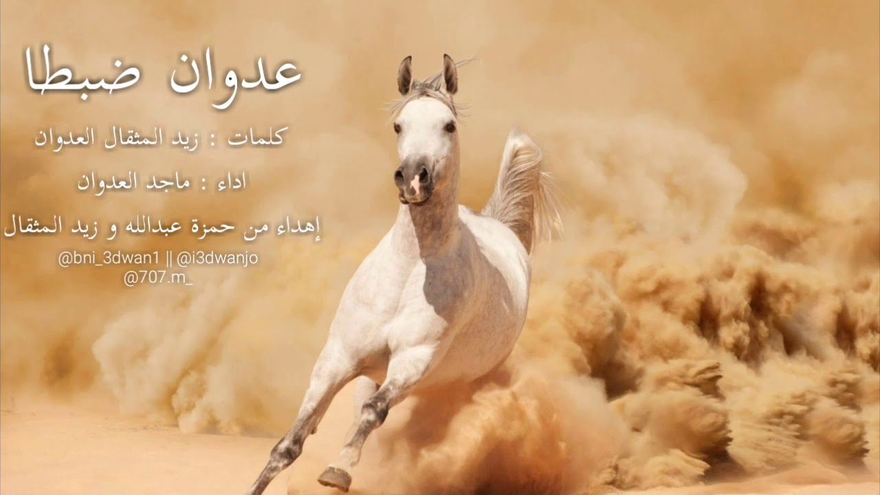 عدوان ضبطا