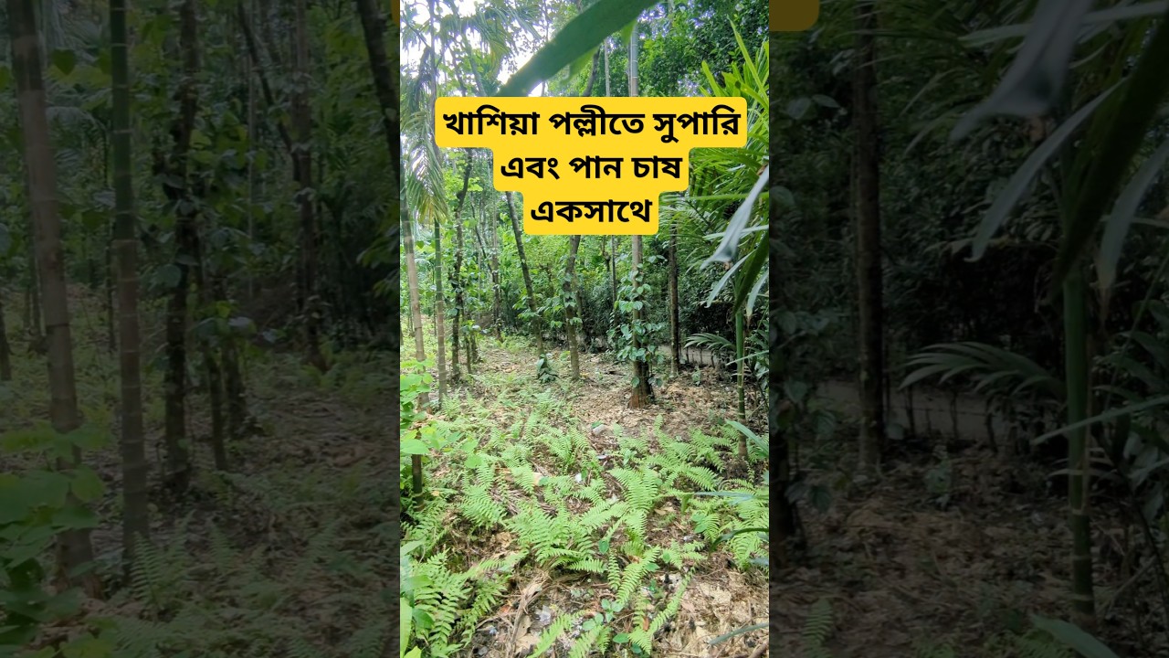 #jaflongsylhet