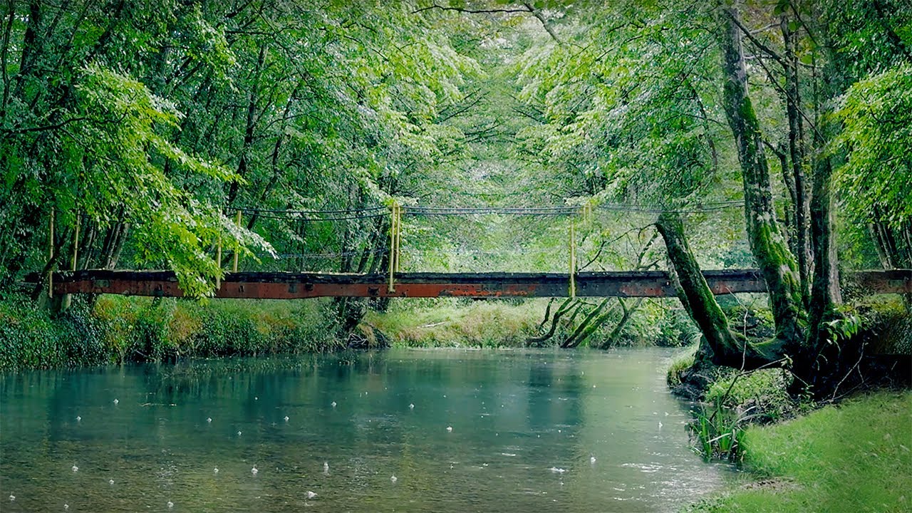 Healing Rain & Native American Flute for Deep Sleep | Calm Mind & Anxiety Relief