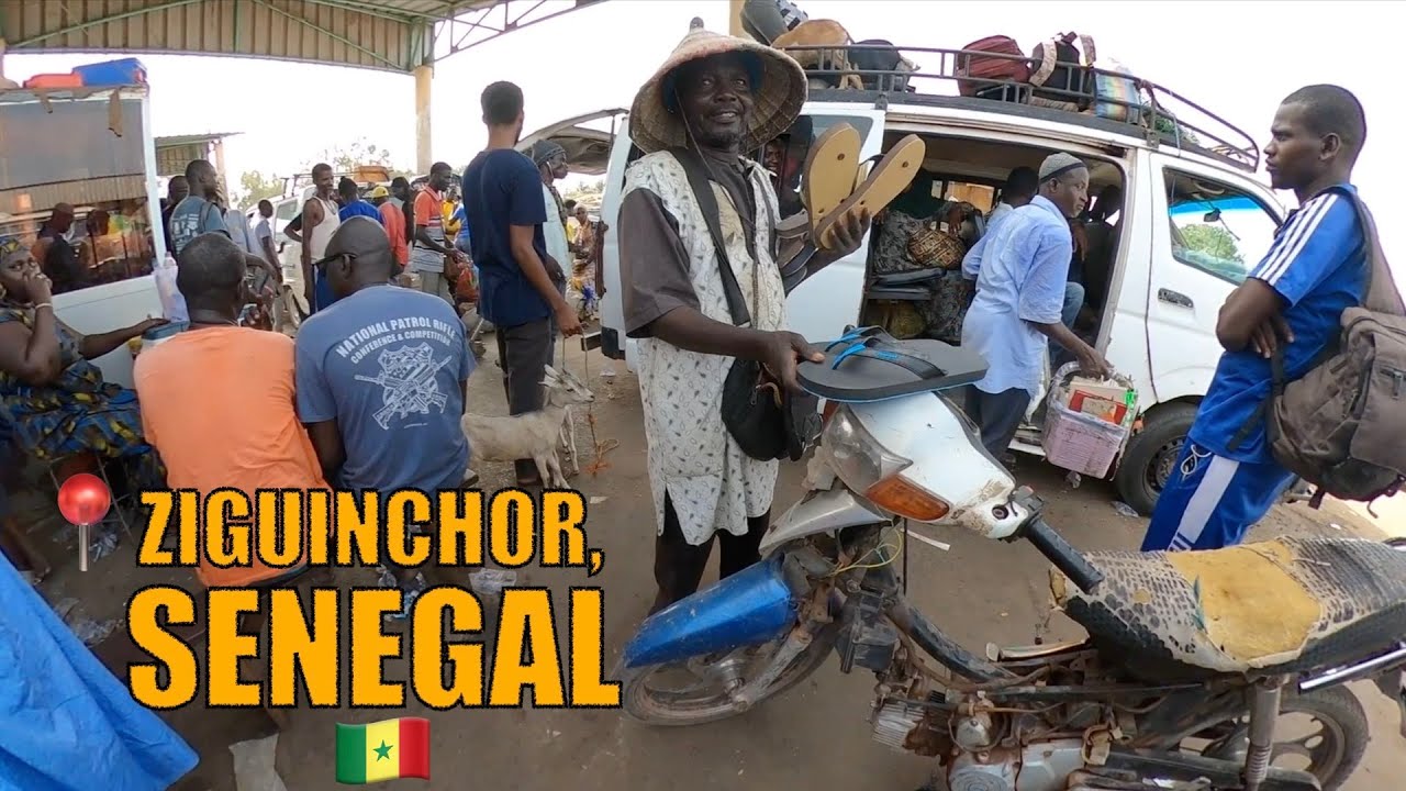 Драма с поломкой автобуса! Застрял в Сенегале 🇸🇳 по дороге в Гамбию 🇬🇲 | Видеоблог о путешествиях...