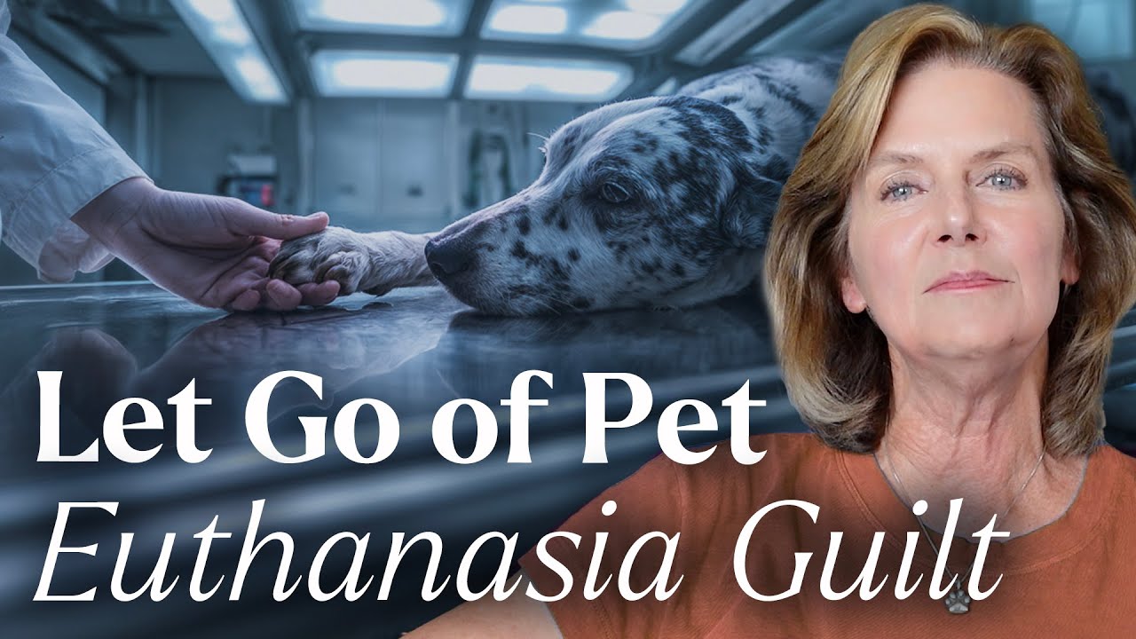 STOP Holding onto Guilt After Pet Euthanasia | Tami Hendrix
