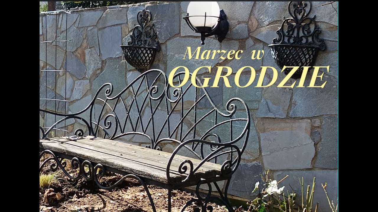 Marzec w ogrodzie, straty po zimie na jednej z rabat