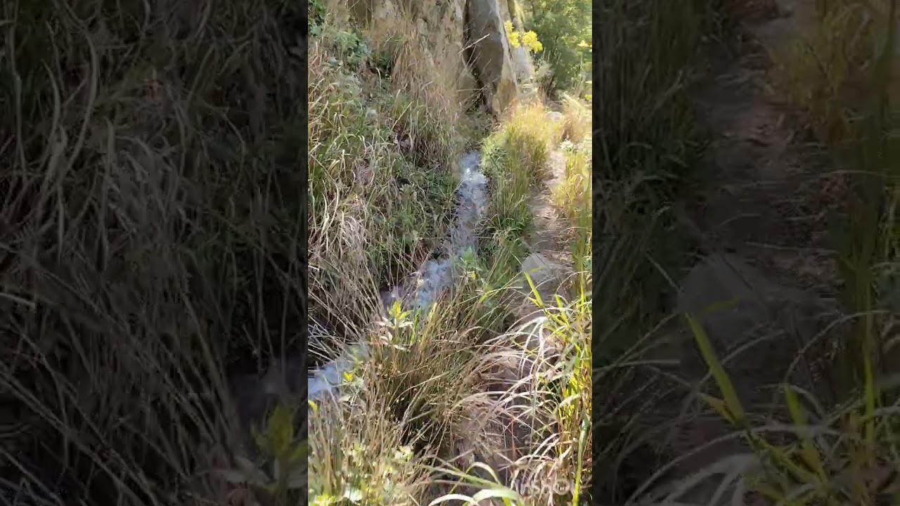 cudi dağı harika doğası