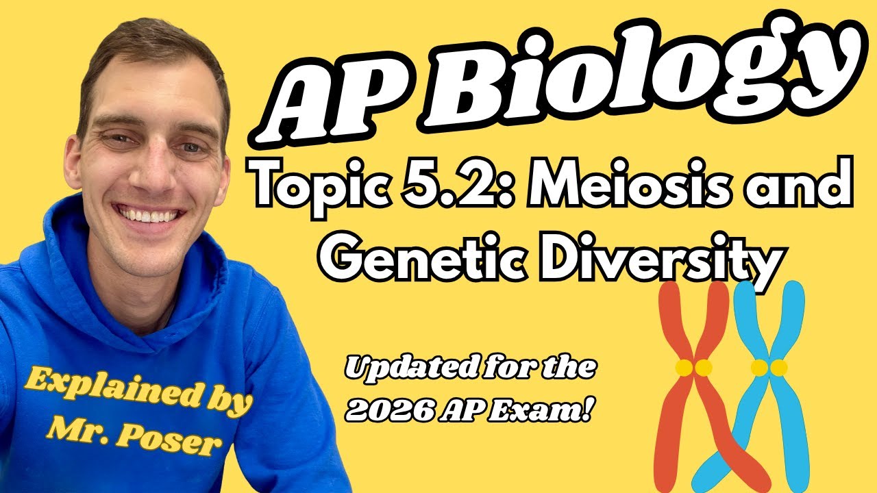 5.2 Meiosis and Genetic Diversity - AP Biology (Updated 2025-2026)