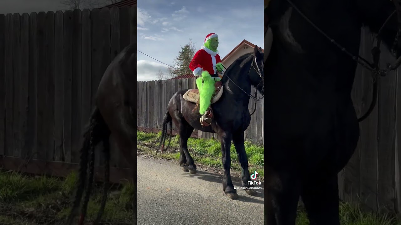 Feliz navidad 🎄🎁 y prospero a&ntilde;o nuevo 🪅 #caballos #horse #rancho #fypシ゚