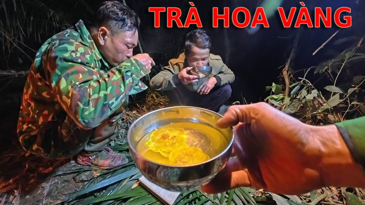 THƯỞNG THỨC TR&Agrave; HOA V&Agrave;NG GIỮA Đ&Ecirc;M .CHUYẾN ĐI S&Ocirc;NG K&Eacute;M MAY MẮN.Camera Thợ Rừng