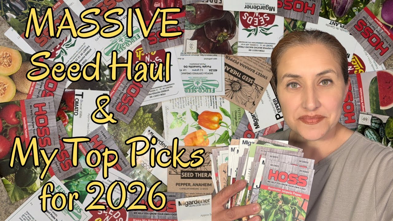 Massive Seed Haul & My Top Picks for 2026