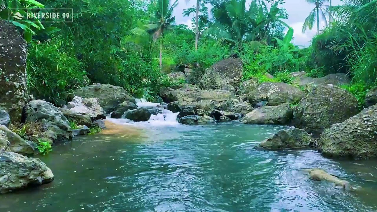 River Sounds for Sleeping Instantly with Clean River Water Sounds for Night Comfort