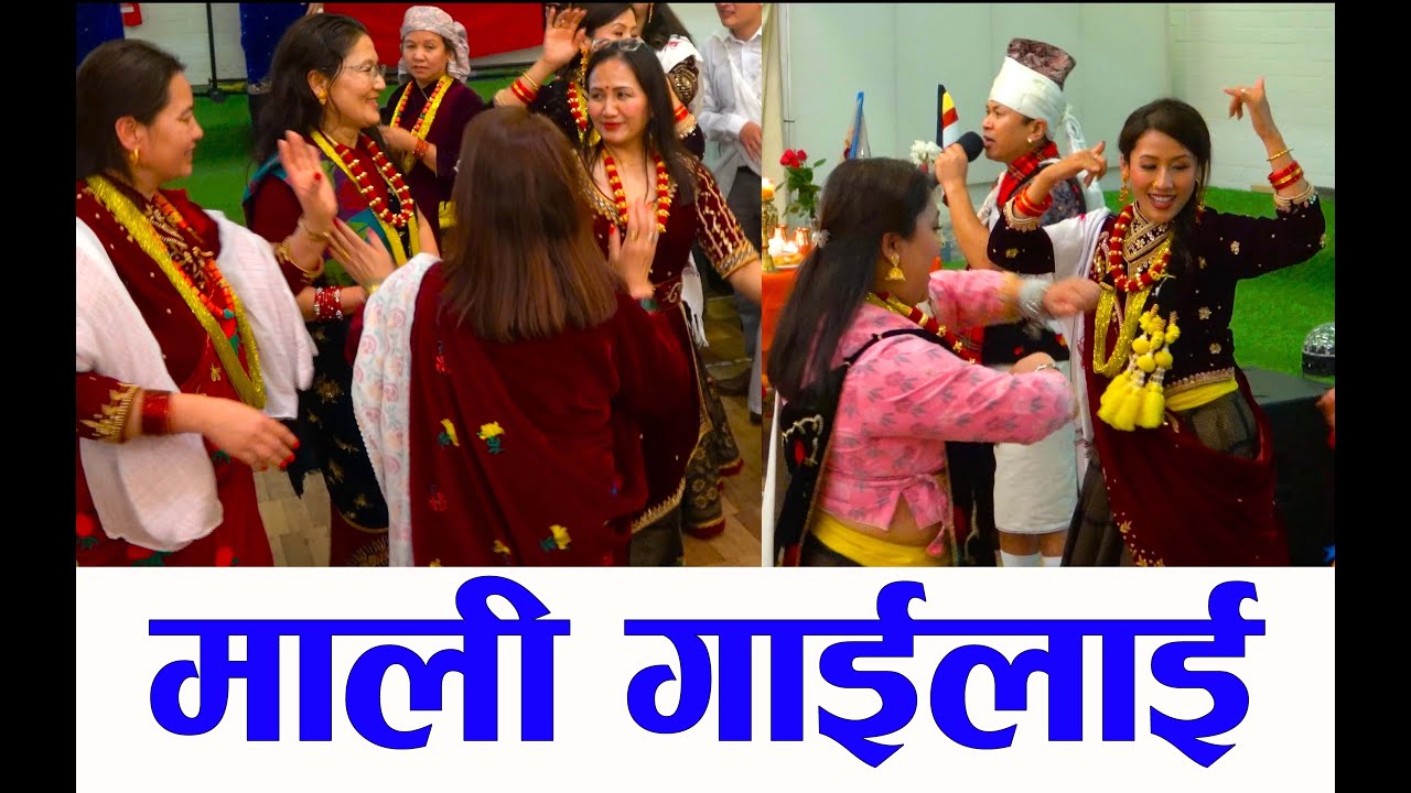 Kahako Saino-Mali Gailai माली गाईलाई बाधेको दाम्ला मेरो माया छोडेर कहाँ जाउला Mousam Gurung, Live