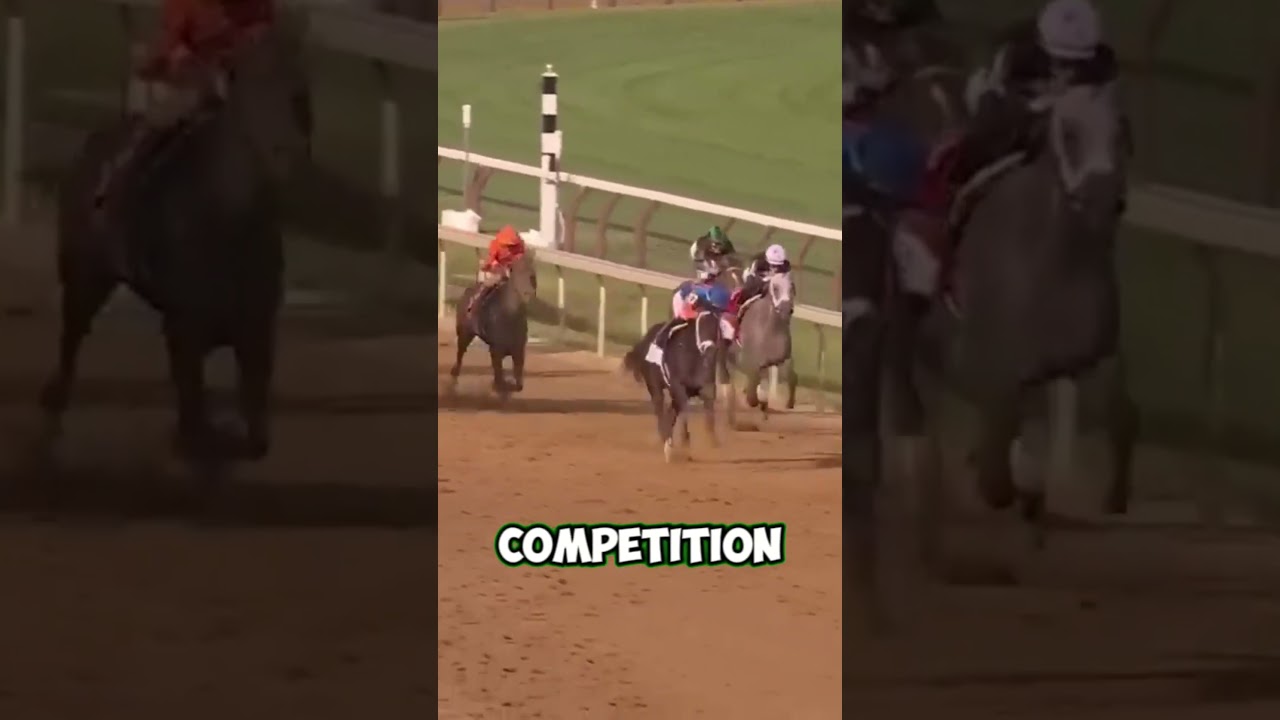 How this underdog Became the FASTEST Horse Ever! 🔥| 
