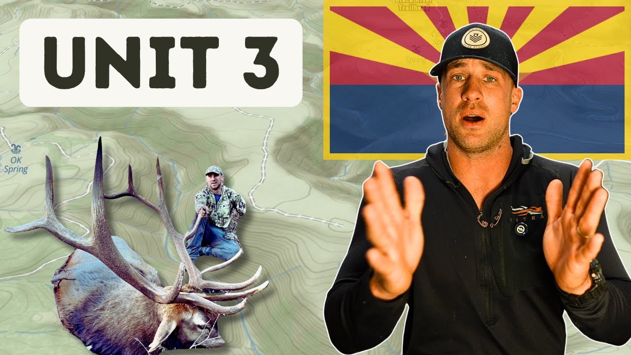 Arizona Elk Hunting Unit 3: 3A, 3B, 3C OTC, Draw Odds, Best Hunt Spots, and Proven Strategies (2025)