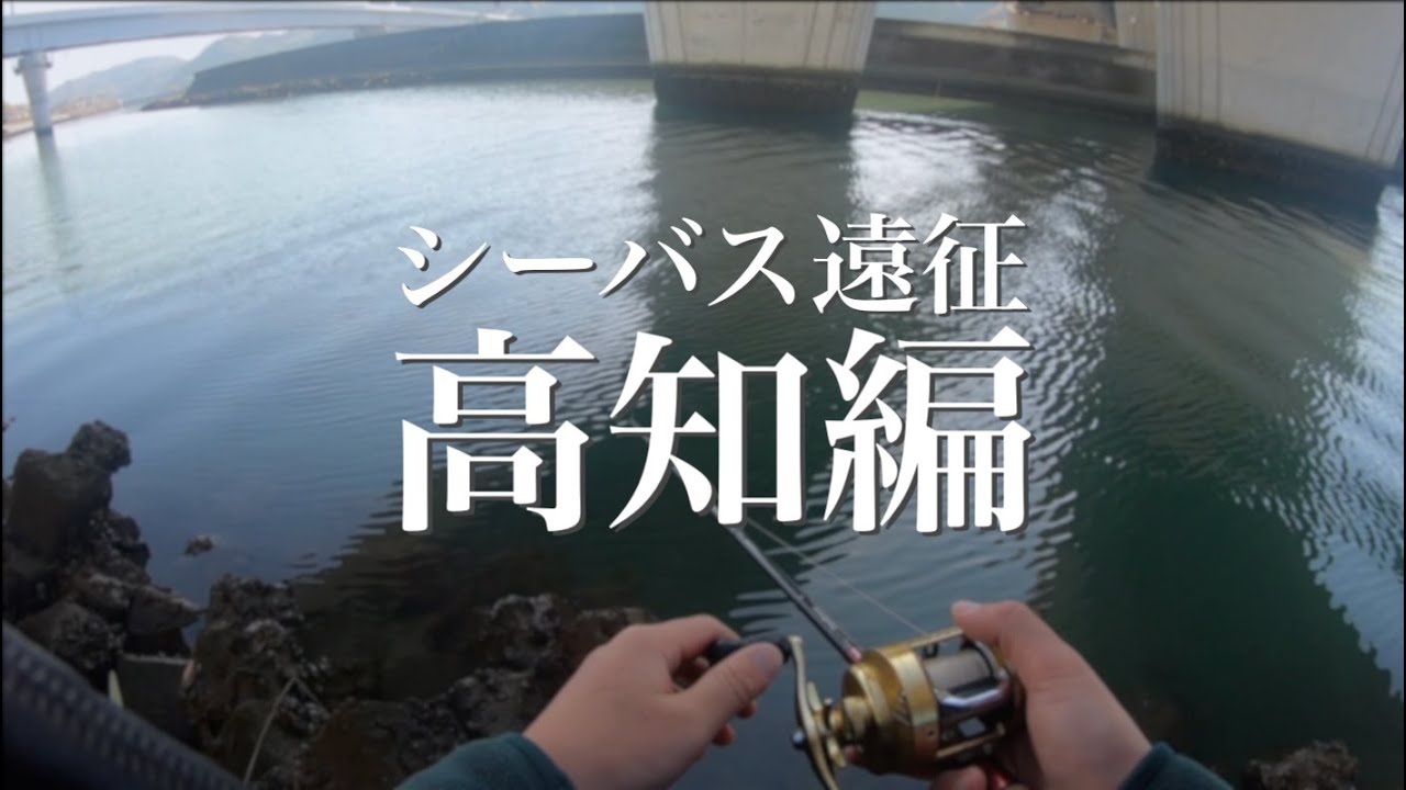 2023年最後の遠征 初場所四国・高知でシーバスを追う【高知遠征編part1】