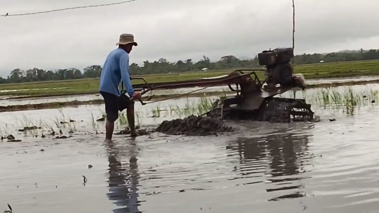 HAND TRACTOR | PLOWING AND HARROWING | TRACTOR #viral #machine #agriculture #machine 