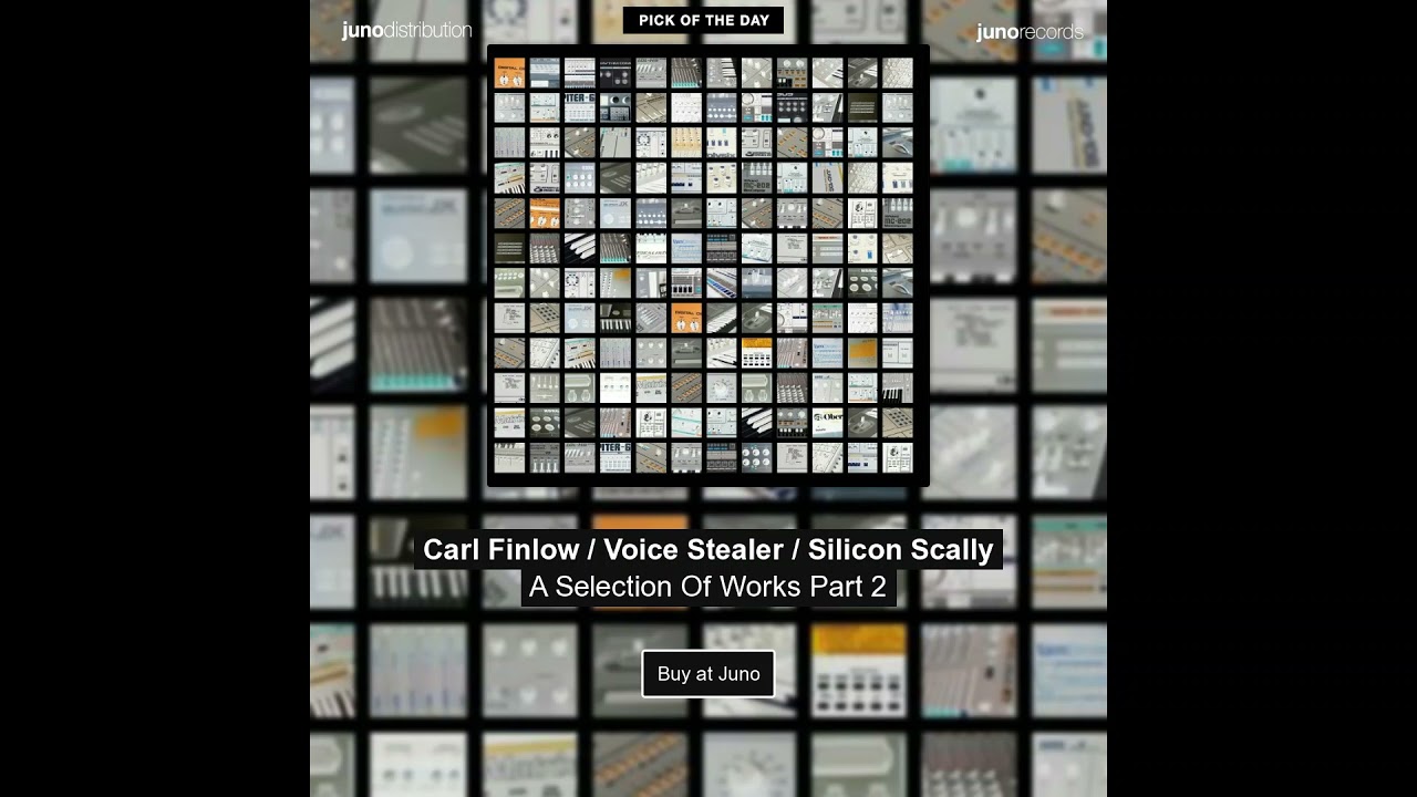 VOICE STEALER - 