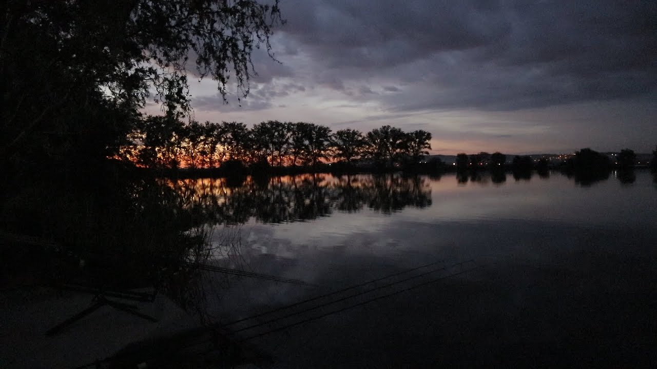 1.  Maj kampanja -  pecanje šarana
