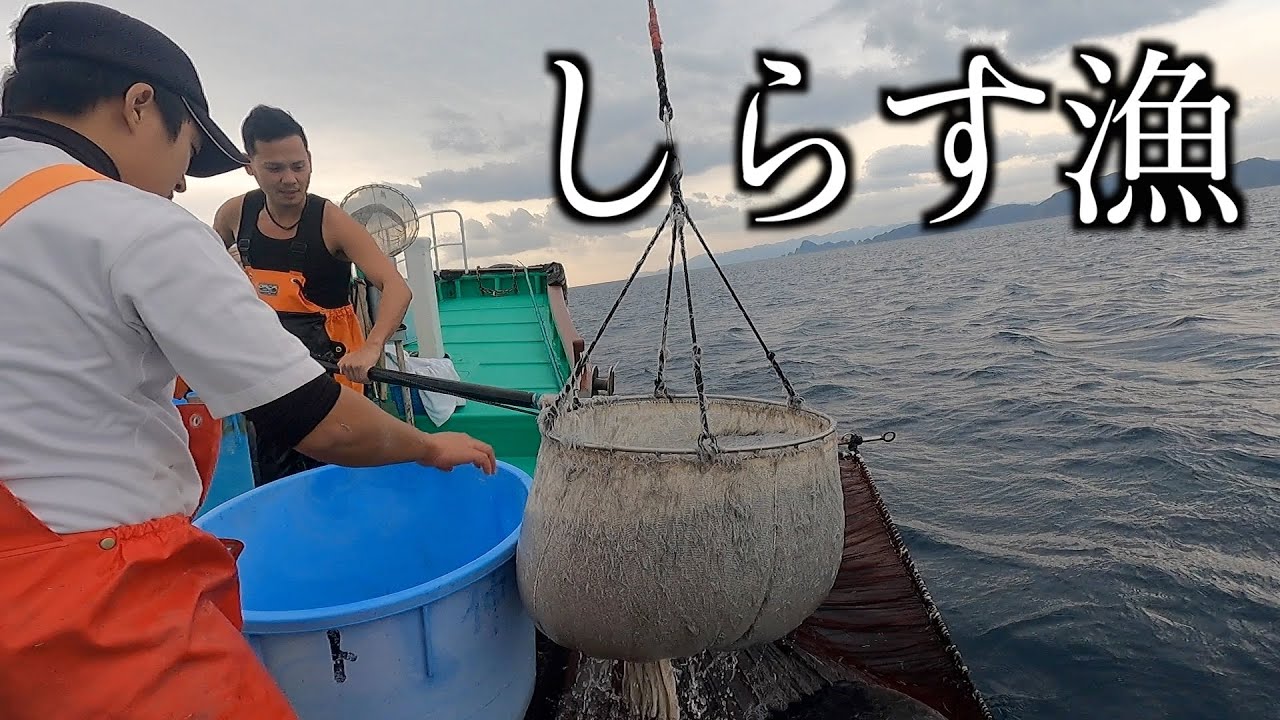 【シラス漁】これがシラス漁だ！！シラスに賭けた男たち
