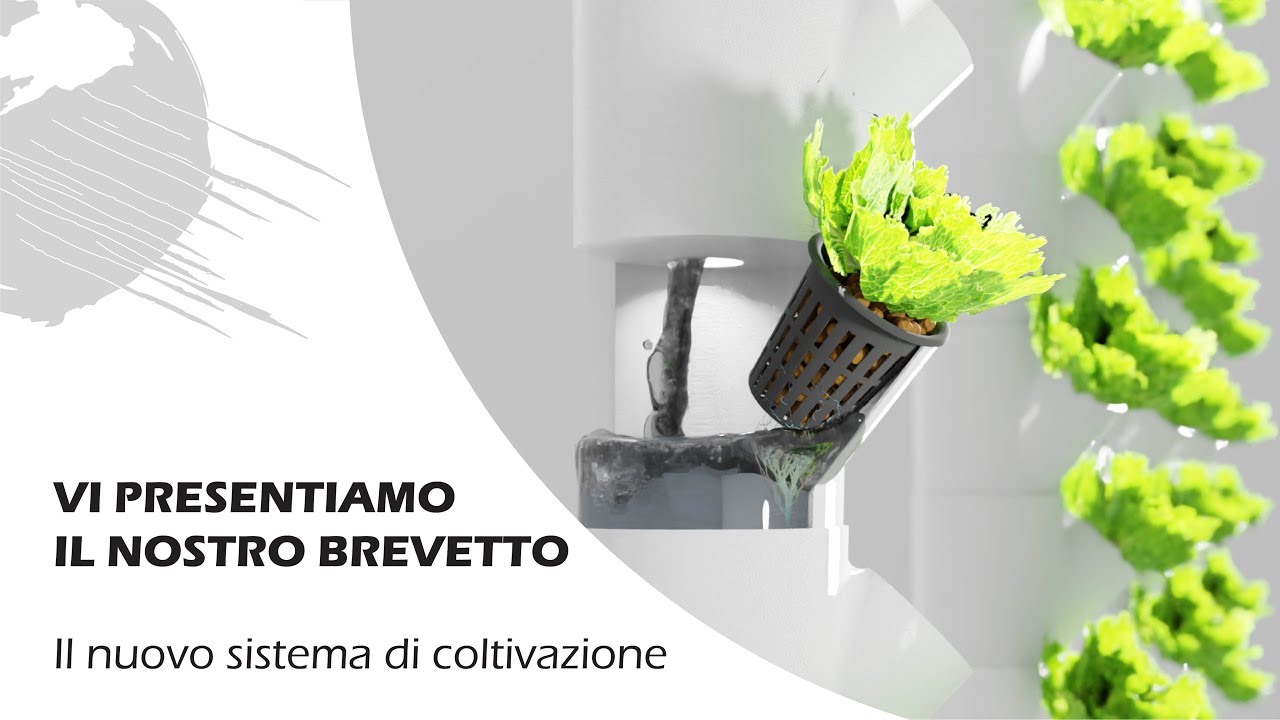 ACQUAPONICA: nuovo sistema di COLTIVAZIONE VERTICALE