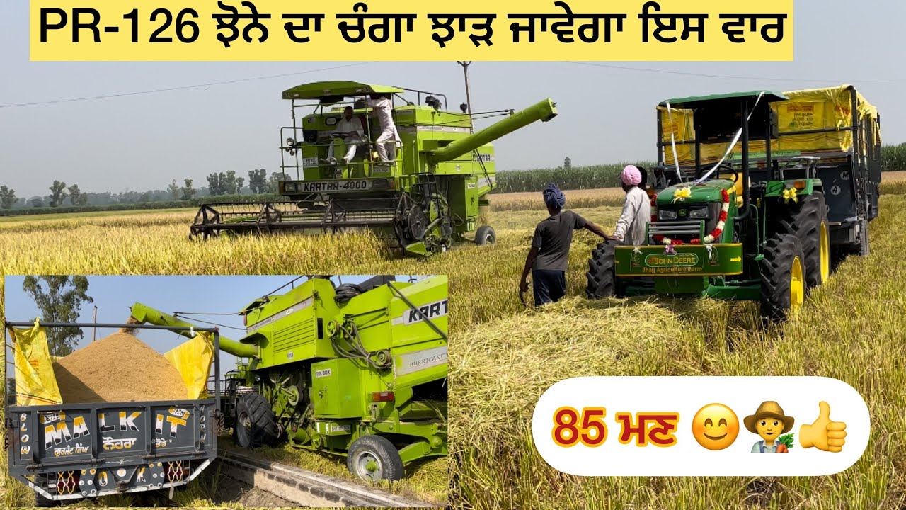 PR-126 ਝੋਨੇ 👨‍🌾🌾ਦਾ ਚੰਗਾ ਝਾੜ ਜਾਵੇਗਾ ਇਸ ਵਾਰ #khetibadi #nabha #paddy