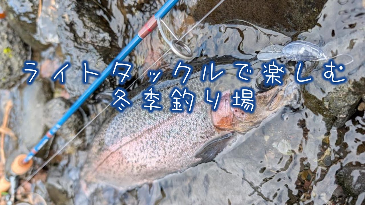 ライトタックルで楽しむ冬季釣り場