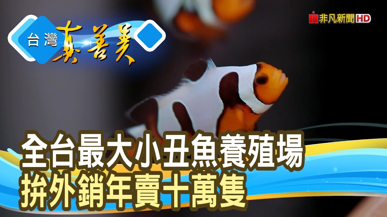 勇闖世界的“MIT小丑魚”｜盛天合生物科技股份有限公司｜【台灣真善美】2026.03.08
