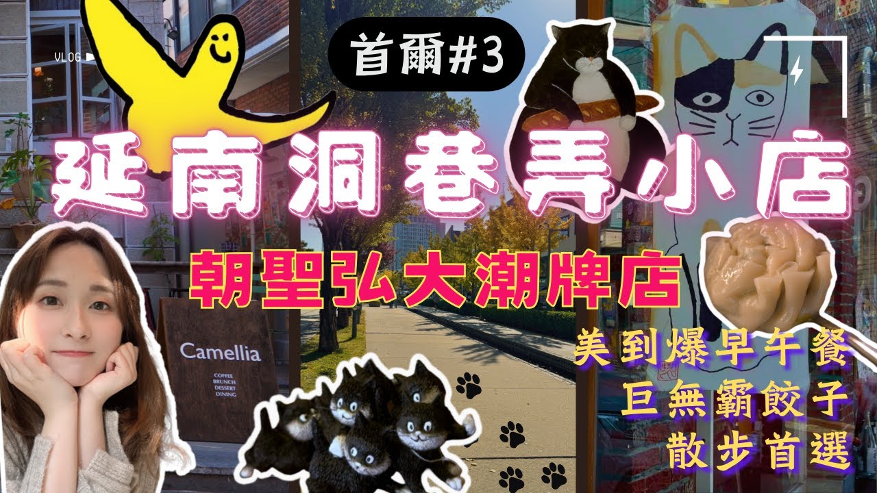 延南洞精緻早午餐☕濃濃法式慵懶風｜巷弄小店挖寶🛍️｜弘大潮牌店一間比一間美｜散步首選超chill森林步道🌳｜韓國首爾ep.3