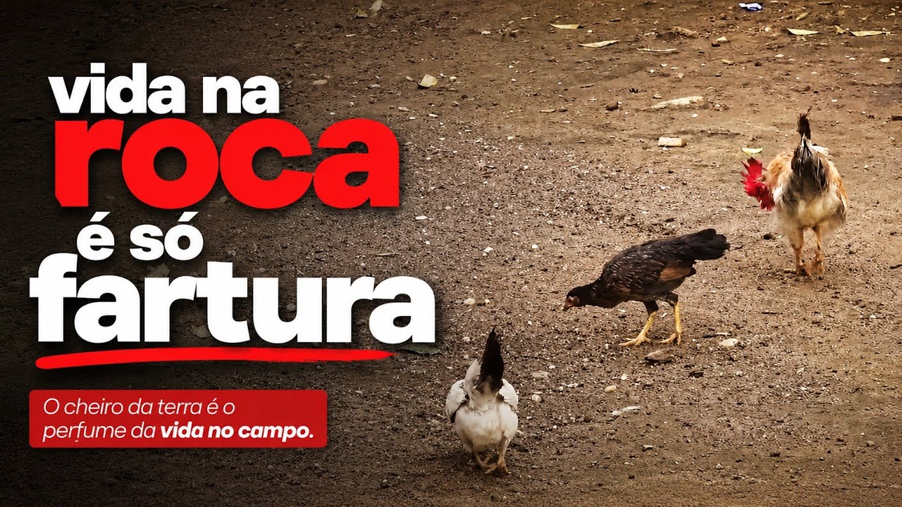 VIDA NA ROÇA É MUITA FARTURA #roca #sitio 