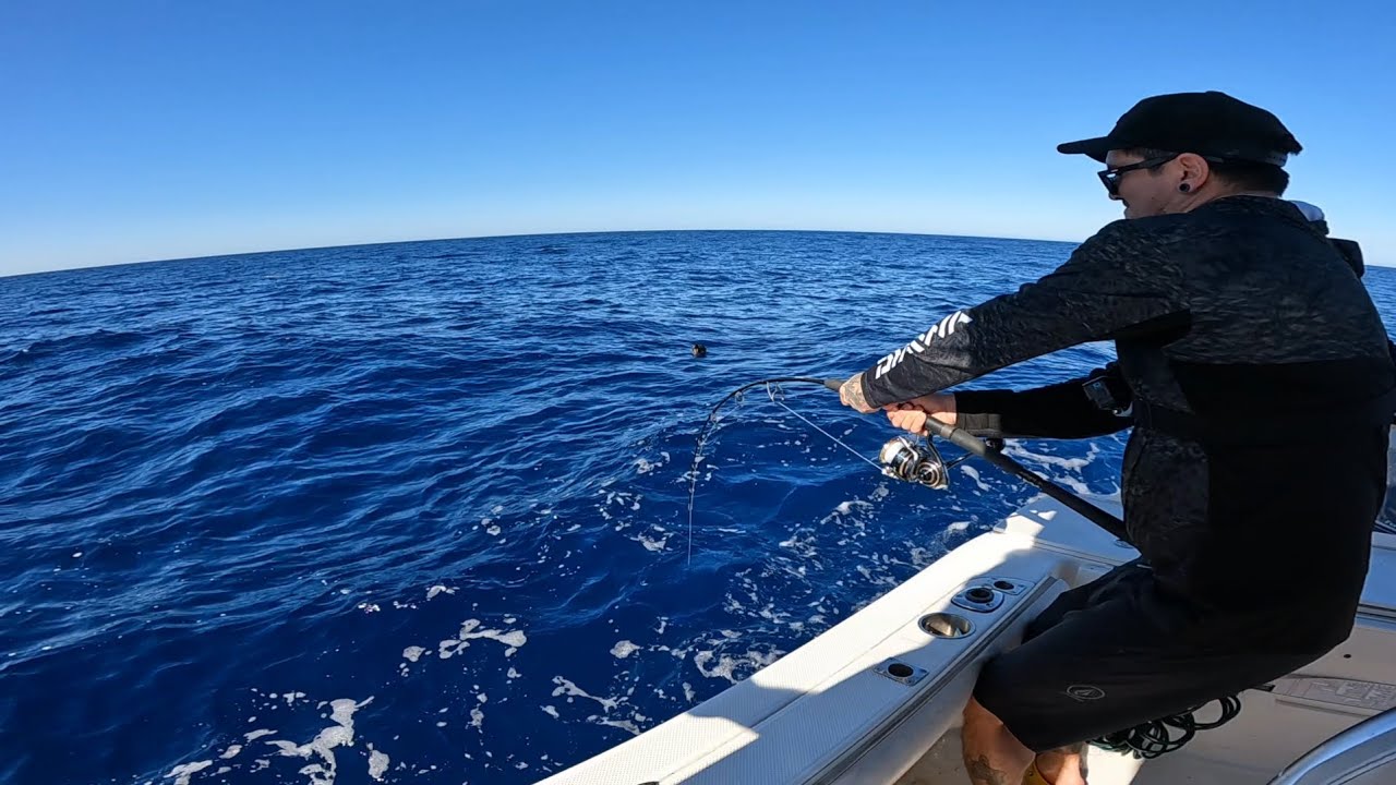 Big Sambos vs Bigger Sharks - Jigging at the Rottnest Wrecks
