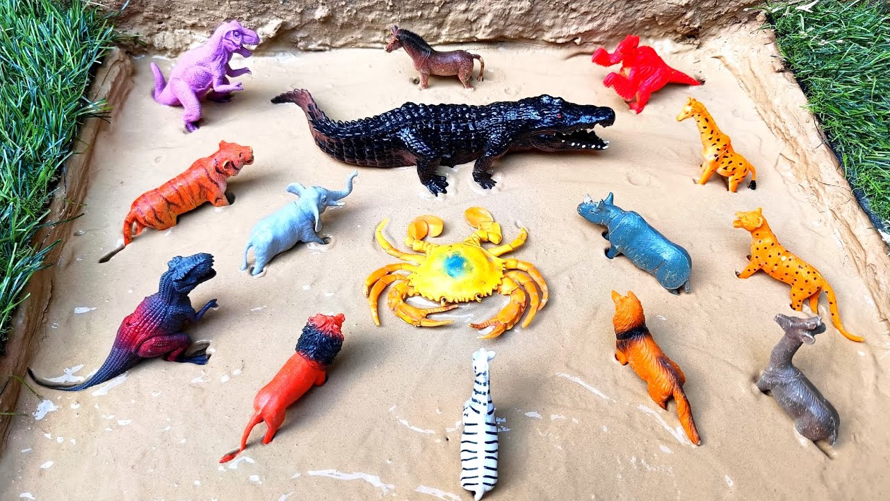 Cleaning animal toys horsh, deer, fox, zebra, dinosaur, Kekda,Crocodiles giraffe,elephant and tiger 