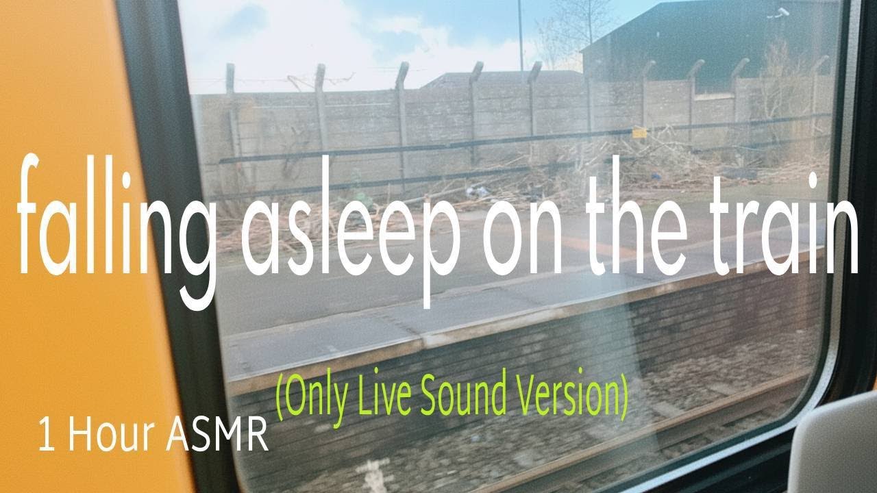 (Only Live Sound Version) 1 Hour ASMR  | Falling Asleep On the Train 🚈 기차에서 잠든줄 💤