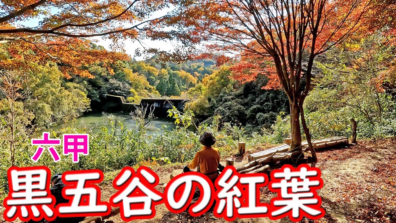 【登山】黒五谷の紅葉/六甲山系