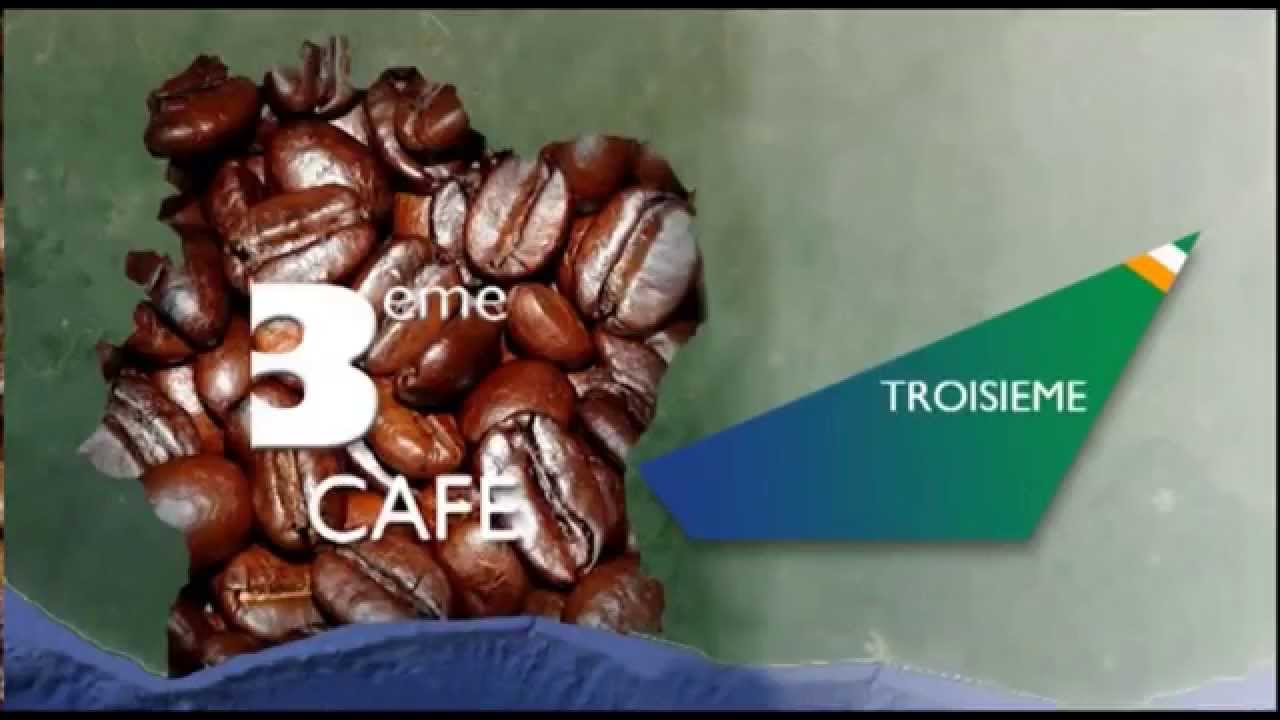La Côte d'Ivoire, Terre d'investissement agricole bon