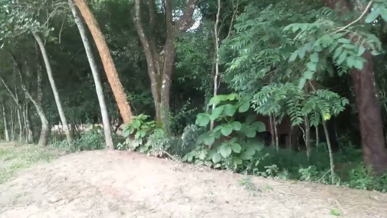 Botija Tesouro Ouro e Prata