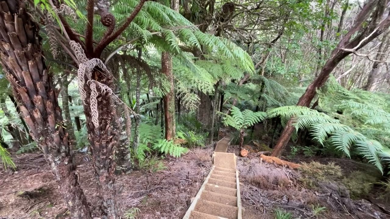 Day 172 - Helena Bay to Komanawa Farmstay