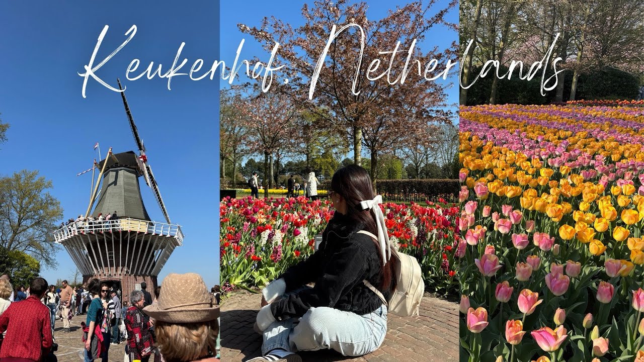 back in the netherlands | keukenhof trip 🌷