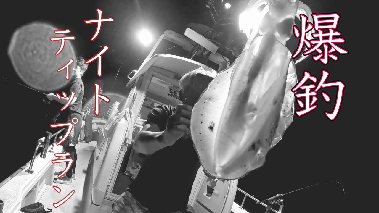 【釣り】初ナイトティップランで爆釣！？